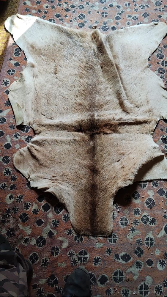 Dywanik dywan skóra z dzika naturalna
