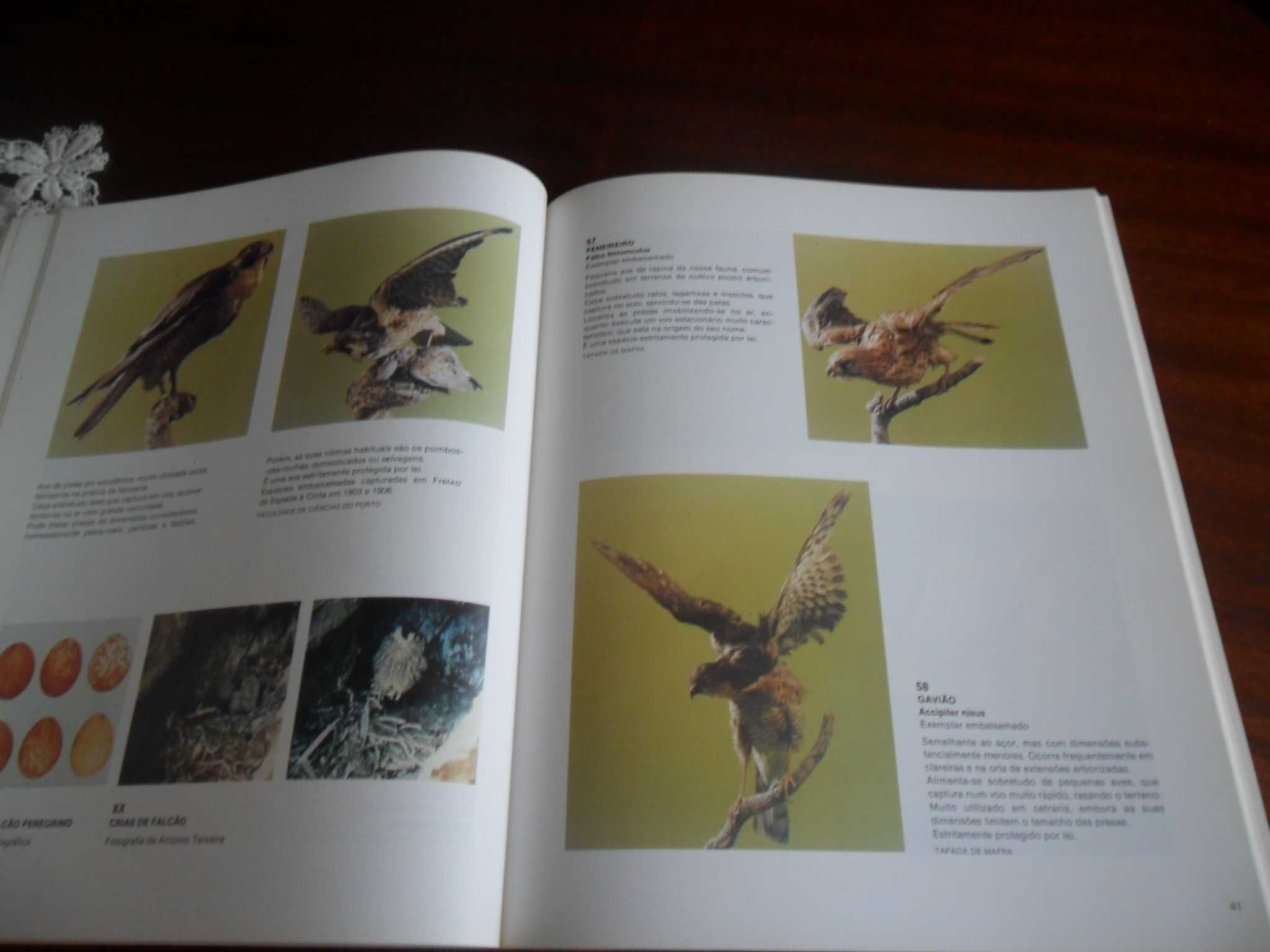 "Falcoaria Real" Catálogo de Exposição - 1ª Edição de 1990