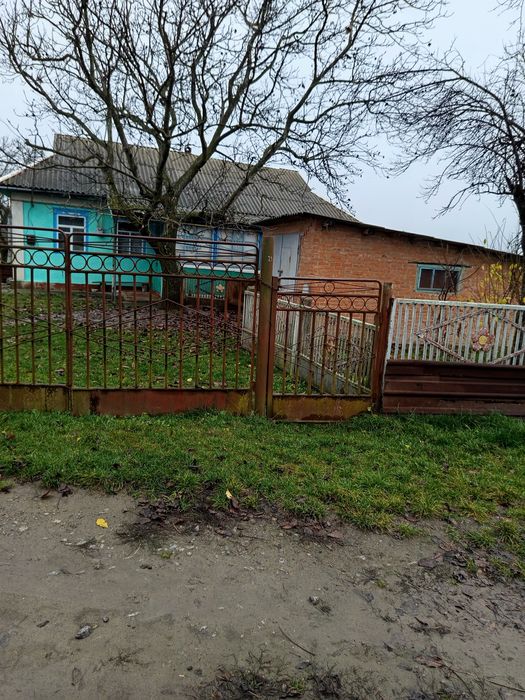 Будинок Оляниця біля лісу