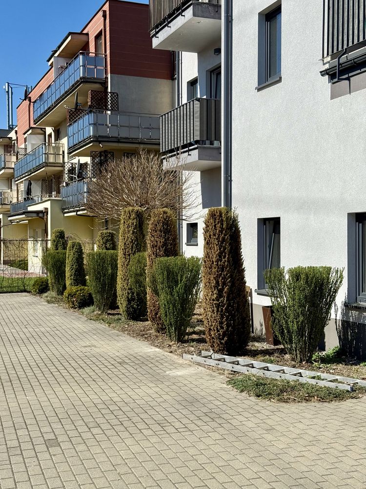 Czyszczenie działek Podnośnik koszowy Wycinka drzew przycinanie tui