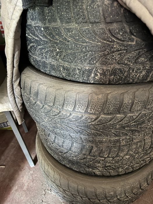 Nokian зима 205 55 r16