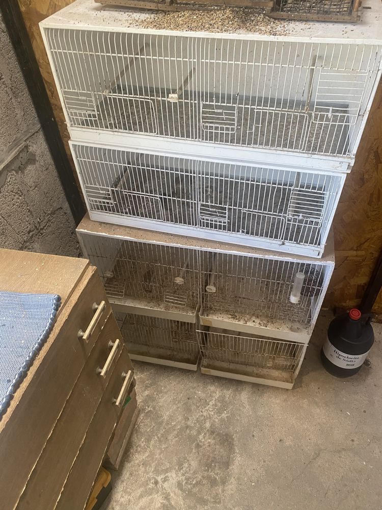 Vendo gaiolas e acessorios