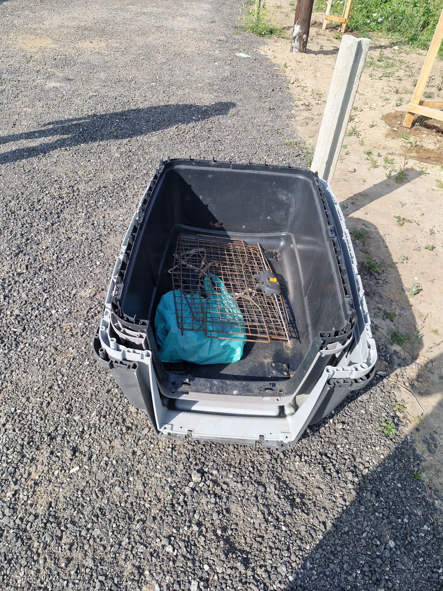 Caixas transporte de cães grandes
