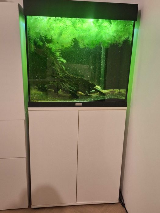 Akwarium Juwel Lido 120 litrów