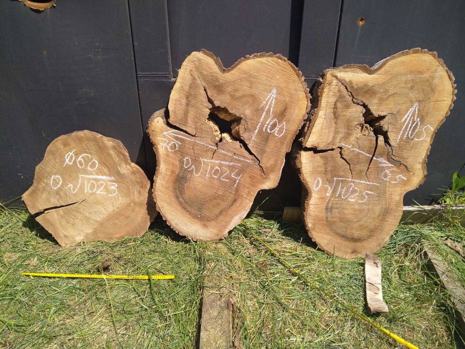 Розпродаж Слеб, сляб, орех, акация корінь ореха поперечний срез