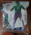 Fantasia Carnaval Hulk
