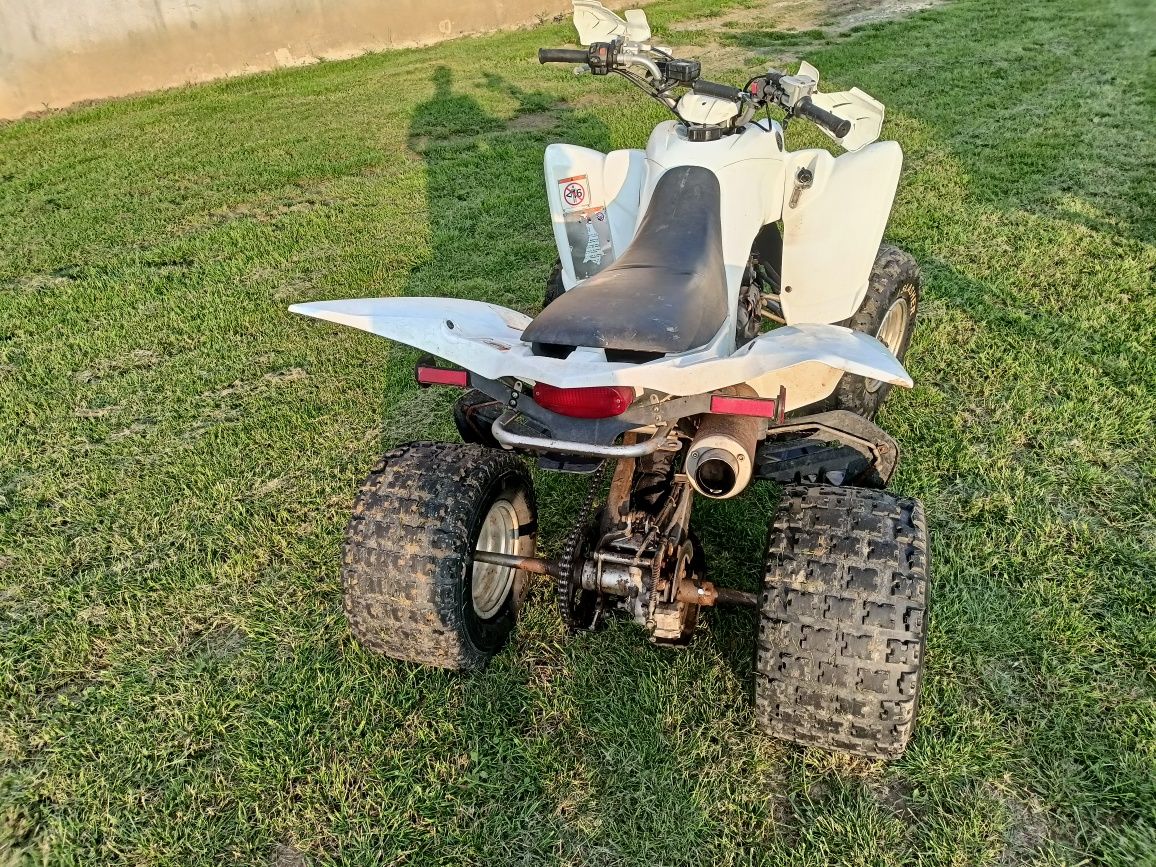 Yamaha raptor 350