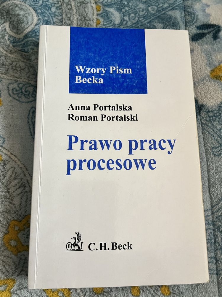 Prawo pracy procesowe