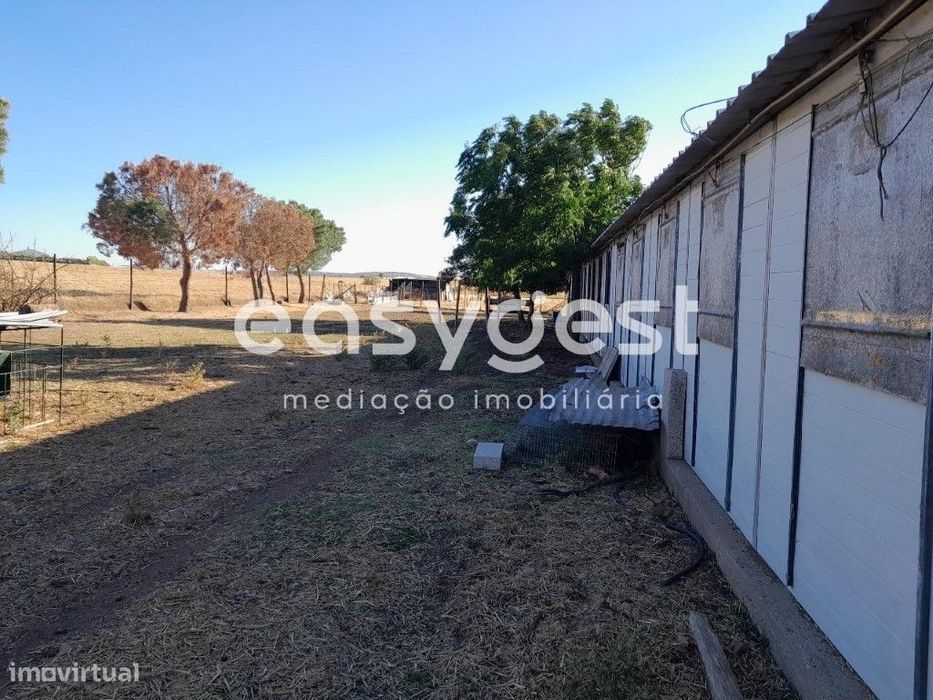 Terreno e Exploração Pecuária, com electricidade, agua e gás