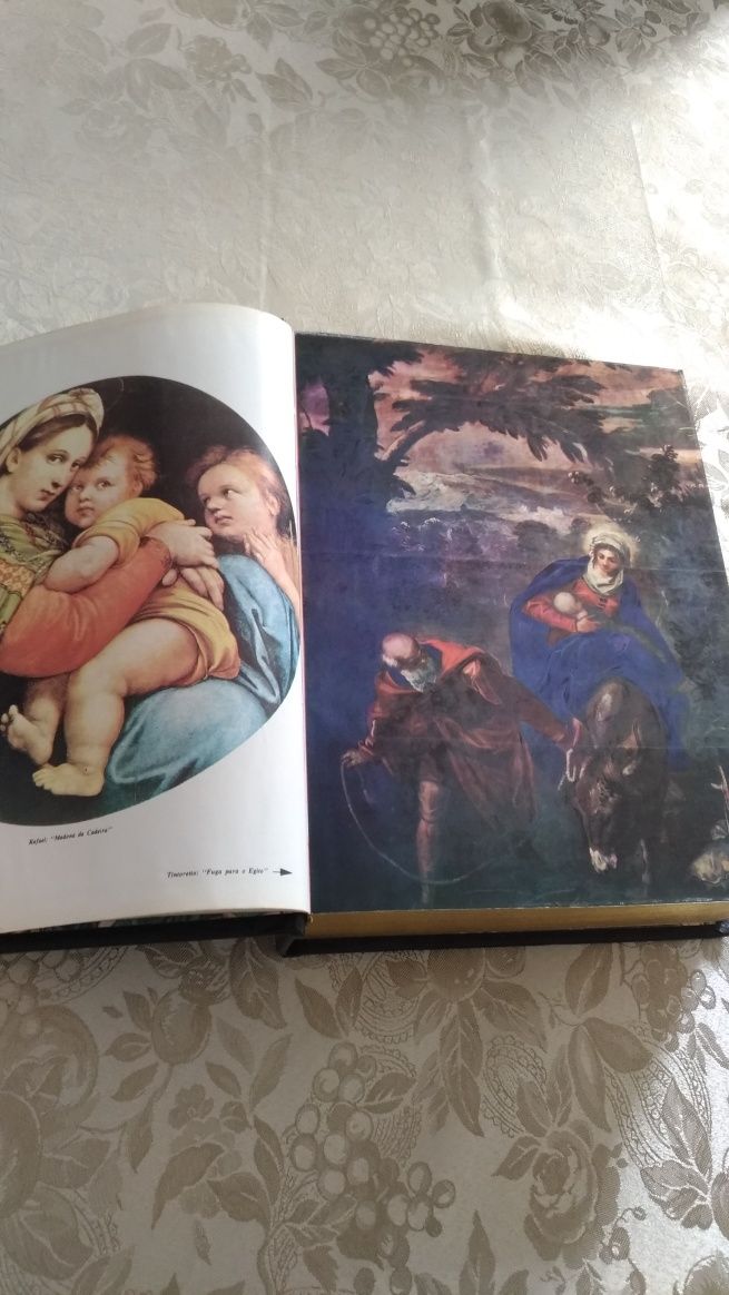 Vendo Bíblia Sagrada com ilustrações, em estado como nova