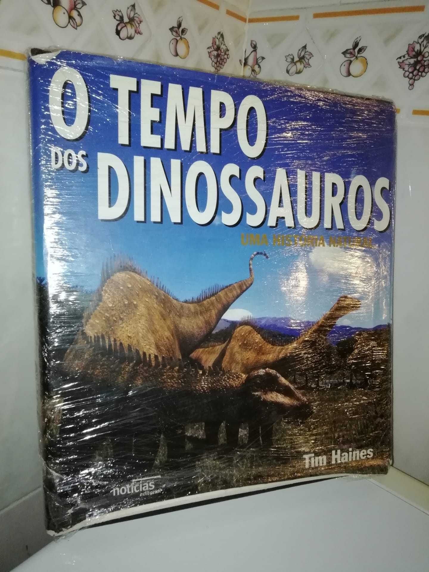 Grande e Bonito Livro O Tempo dos Dinossauros C Figuras Em Português