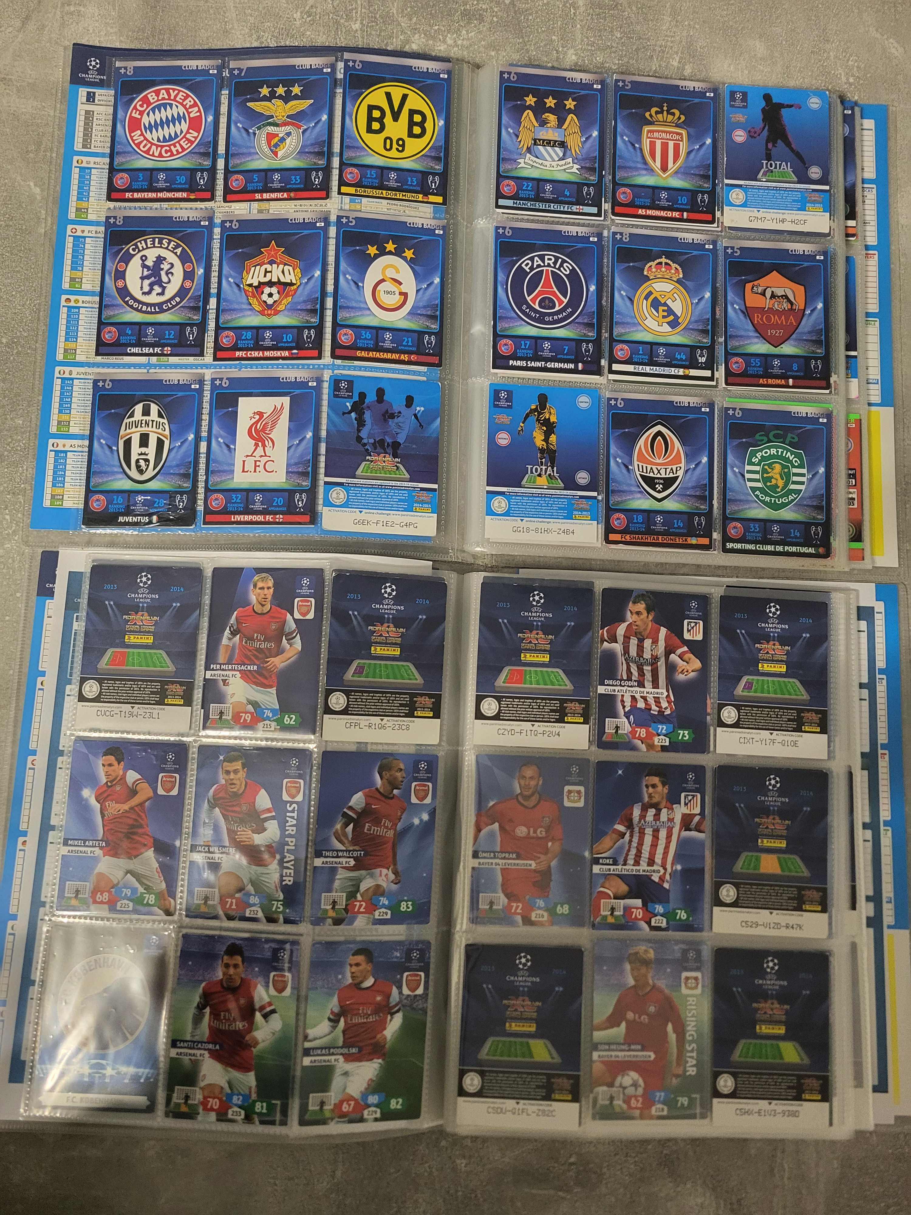 Karty Piłkarskie Panini 2010 - 2016