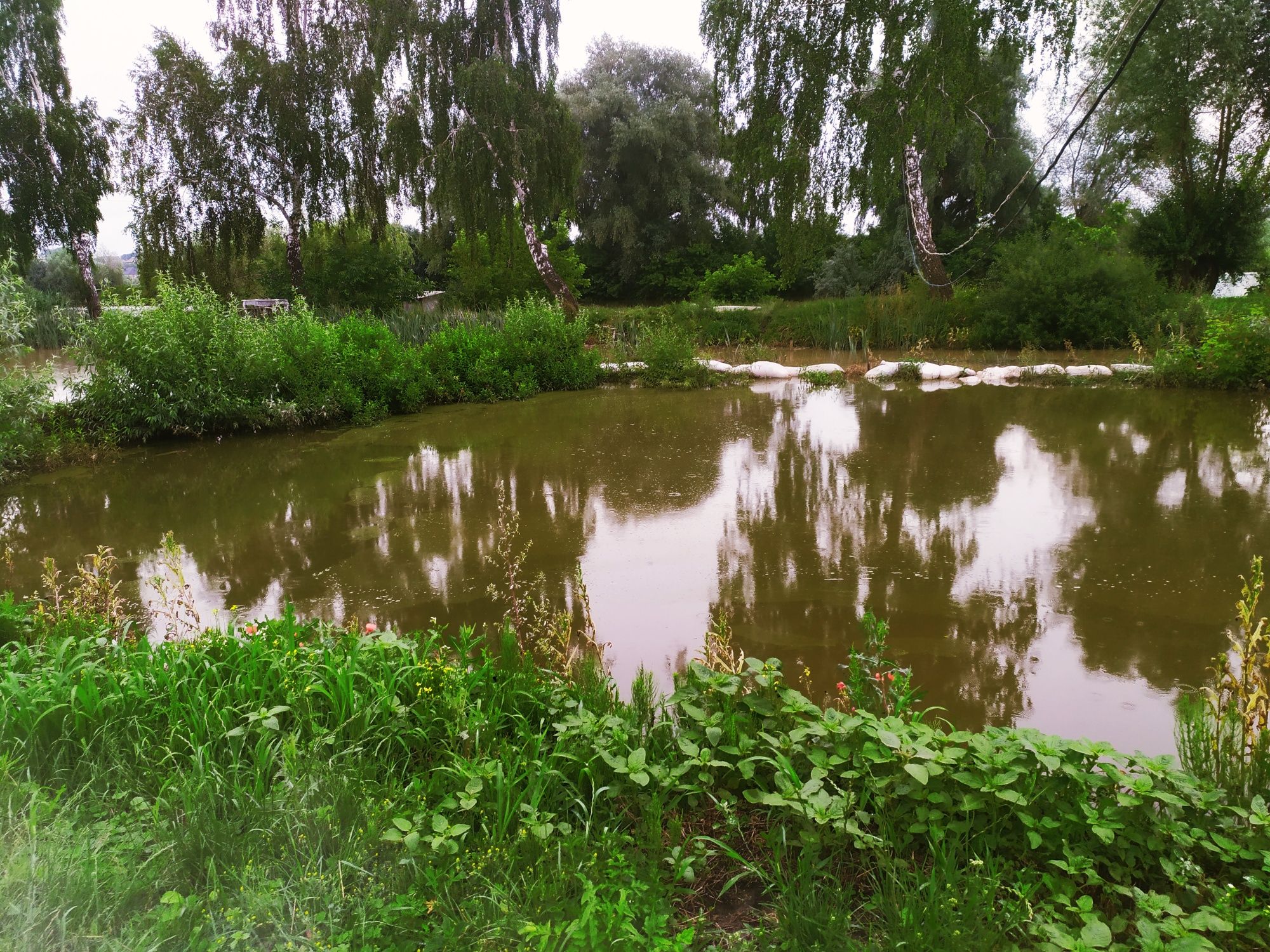 Земельна ділянка по вулиці Берестецька.