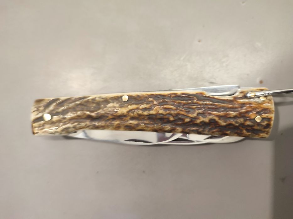 Gerlach w porożu jelenia