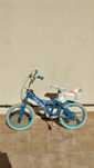 Bicicleta da Frozen