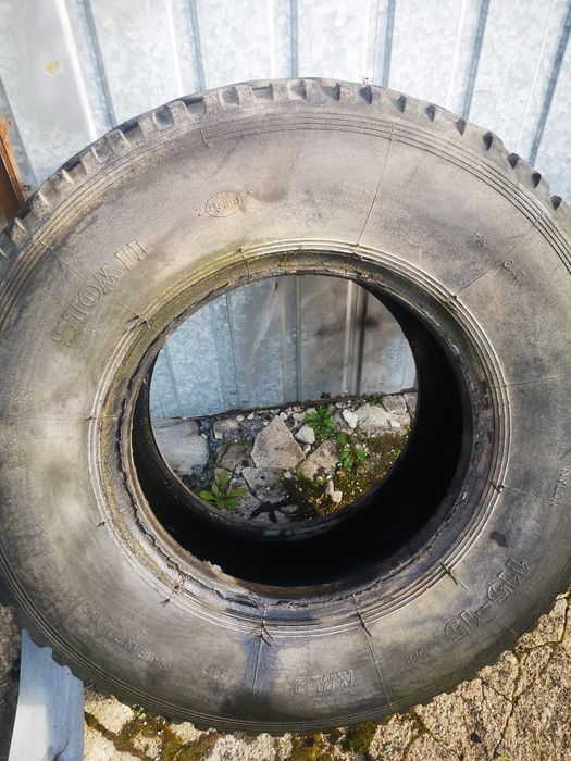 Opony rolnicze 11.5-15 Stomil