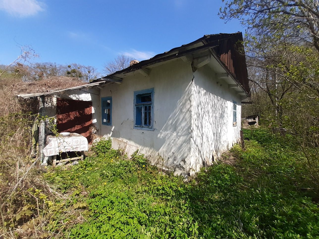 Земельна ділянка з будинком в с.Плужне