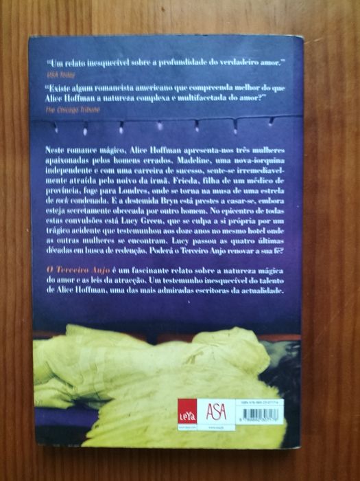 Livro o terceiro anjo de Alice hoffman