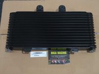 Radiador Suzuki GSF1200 bandit 2000 a 2005 ( novo - cor preto )