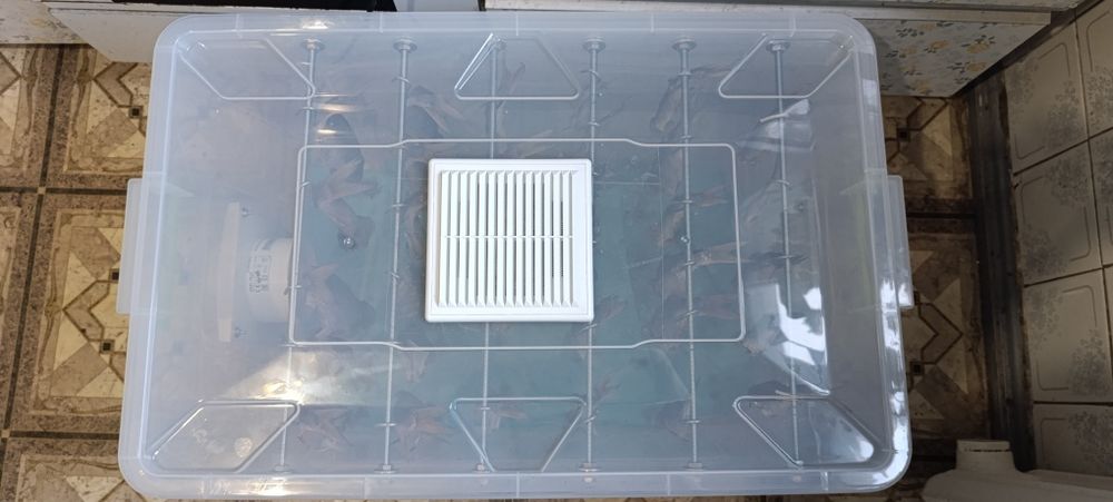 Сушилка для риби