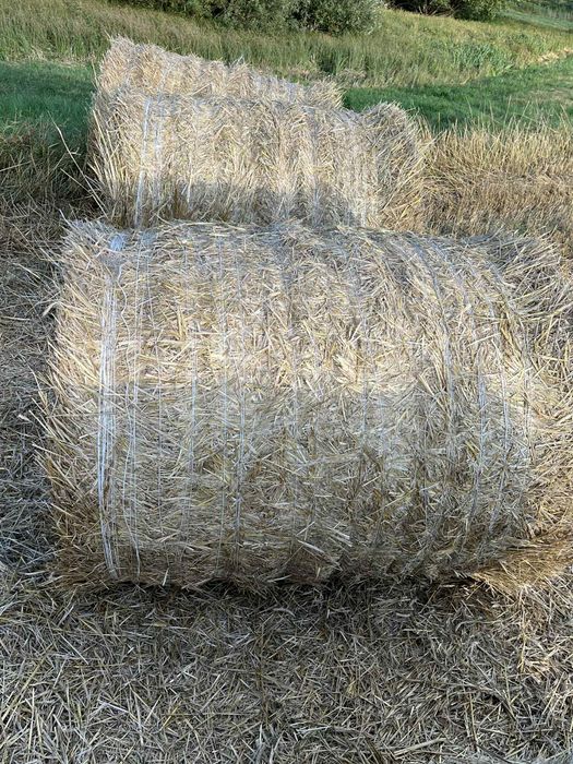 Sprzedam słomę z 29.08.2025