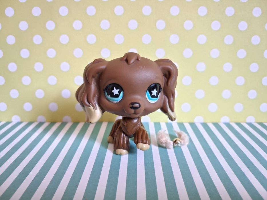 Littlest Pet Shop LPS unikatowy pies Cocker Spaniel #960 pop