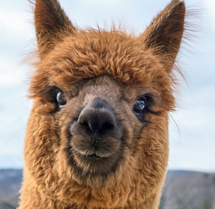 Dom w górach PROMOCJA-10% powyżej 7 dni, Gorce.Poręba,Koninki,Rabka ,1