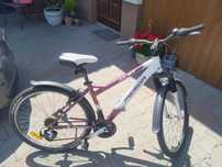 Rower Merida Juliet