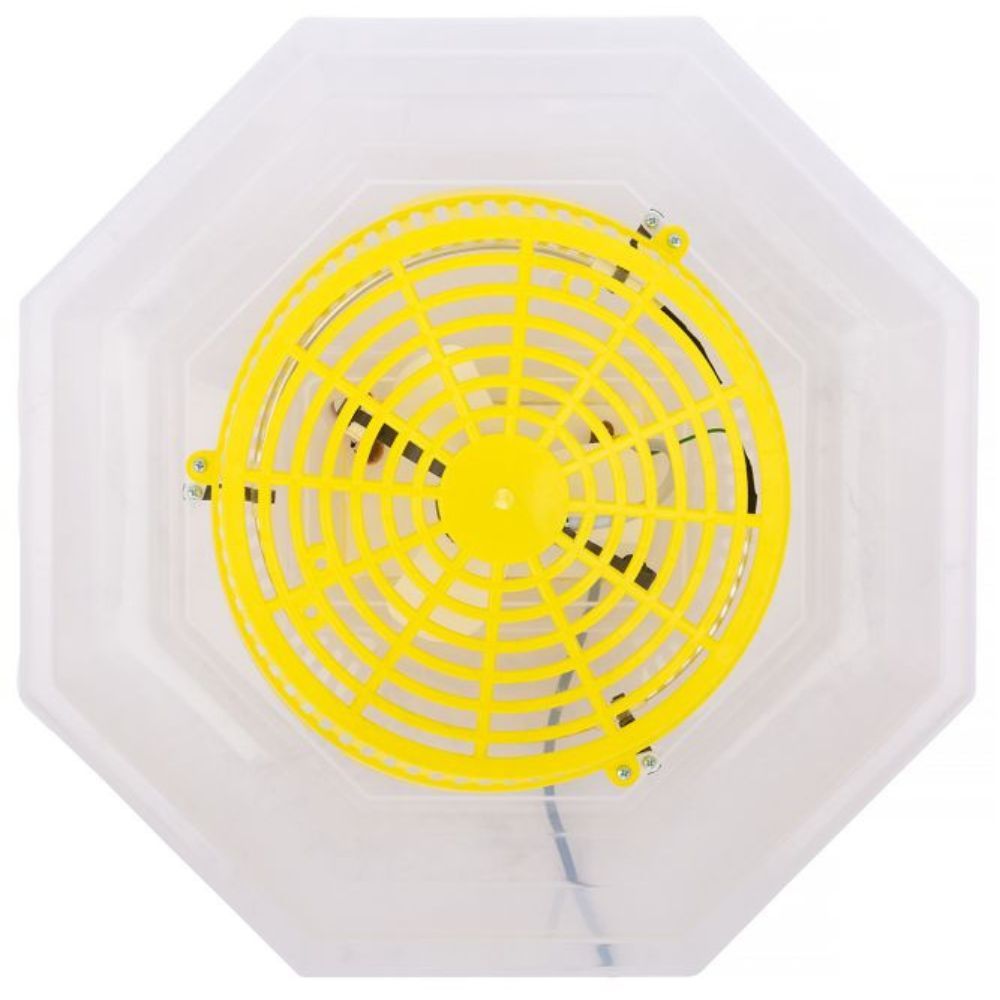 Inkubator do jaj iBator Home 60