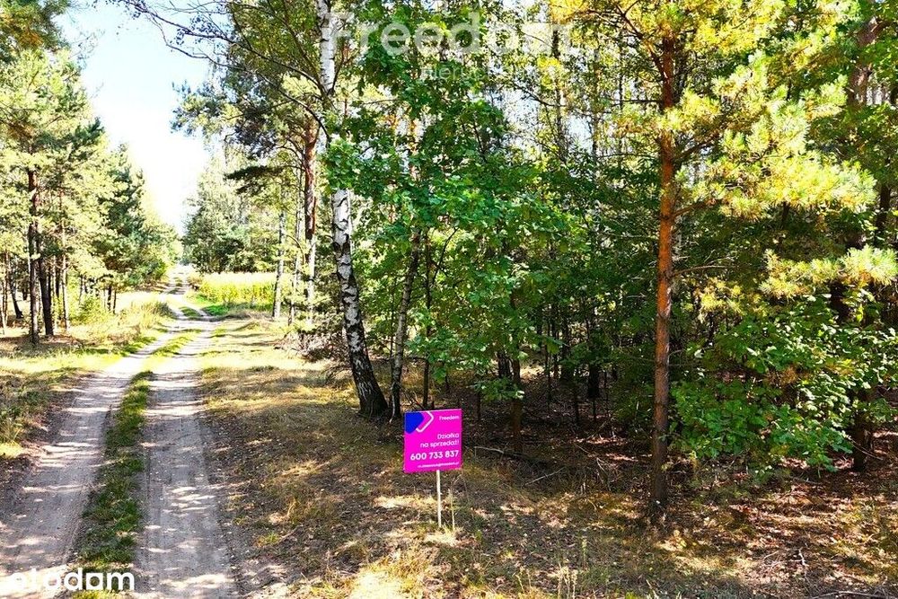 Działka 31,4 ar przy ul. Sosnowej w Dąbrówce Ług