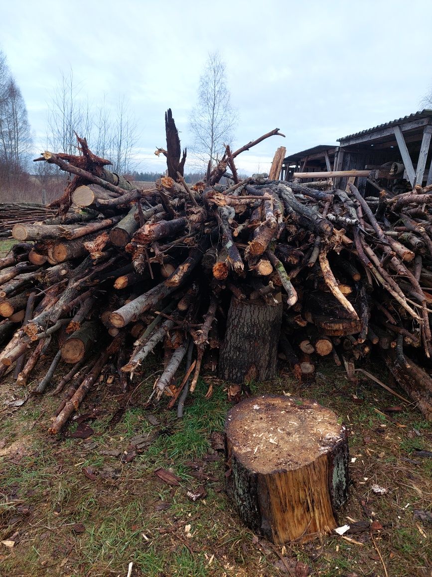 Drewo, drzewo opalowe iglaste, liściaste