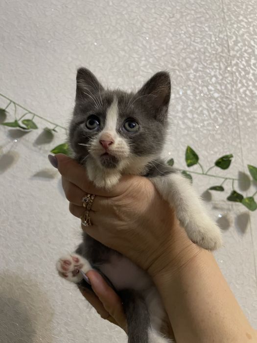 Терміново продаю!