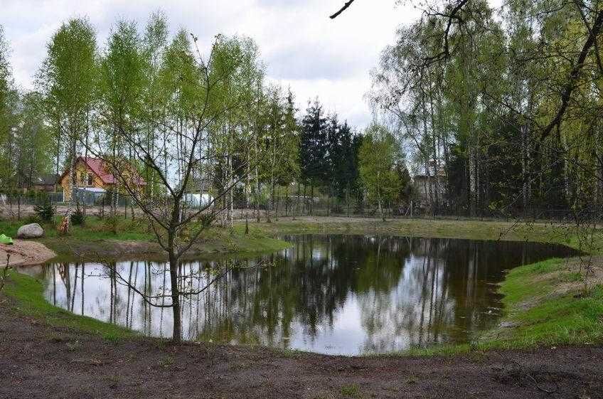 Kopanie i pogłębianie Stawów! Wymiana gruntu prace ziemne koparka staw