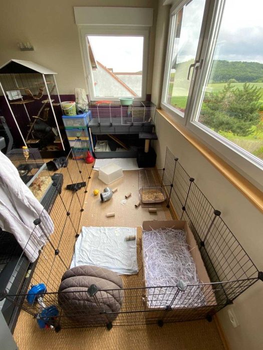 Wybieg NOWA Klatka Kojec dla KRÓLIKA Świnki Chomika PSA Modułowa DUŻA