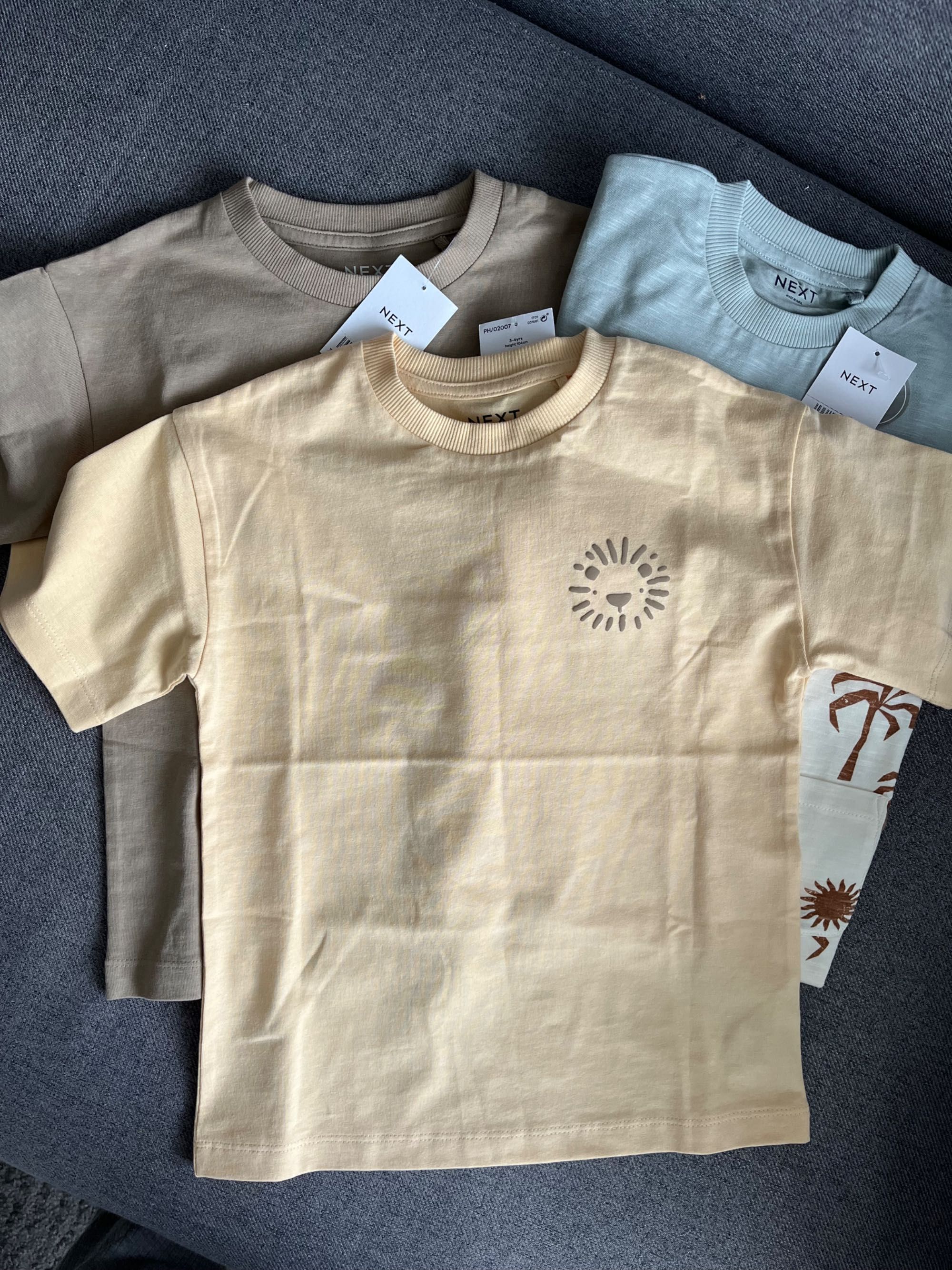 Koszulki dla chłopca Next 110 (4-5)
