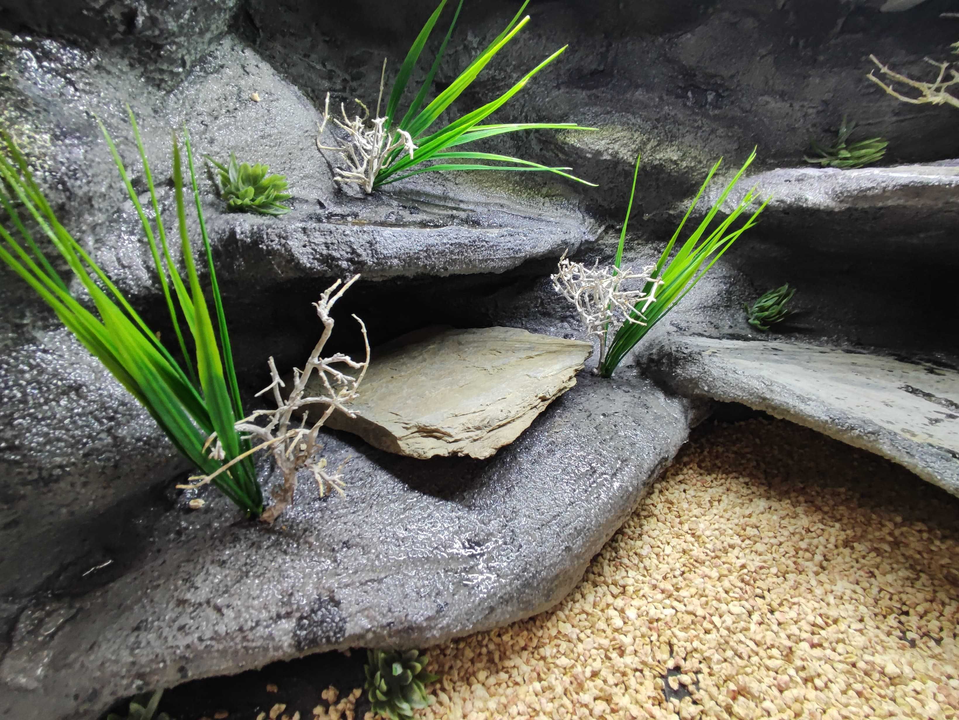 Terrarium pustynne nr751 60/40/40 dla gekona lamparciego DOSTĘPNE