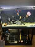 Akwarium 360L plus sump 120L