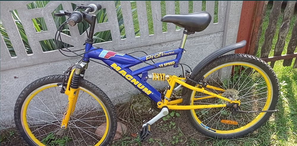 Rower Magnum Profi Festina 18 Speed