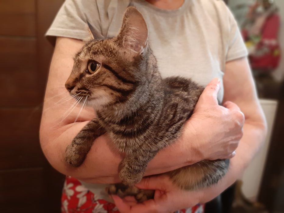 Хлопчик шукає родину!