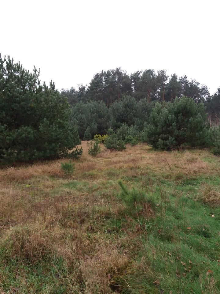 Na sprzedaż działka 9.500 m² – gmina Somianka, powiat wyszkowski