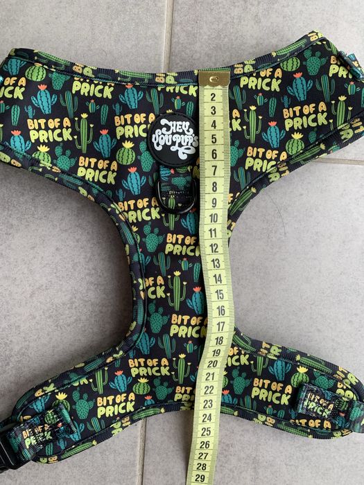 Шлея амуніція для собаки