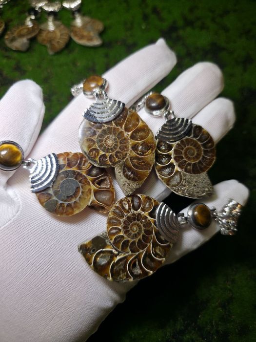 Підвіски з натурального амоніту та мінералом,амулет,амоліт.скам'янілі
