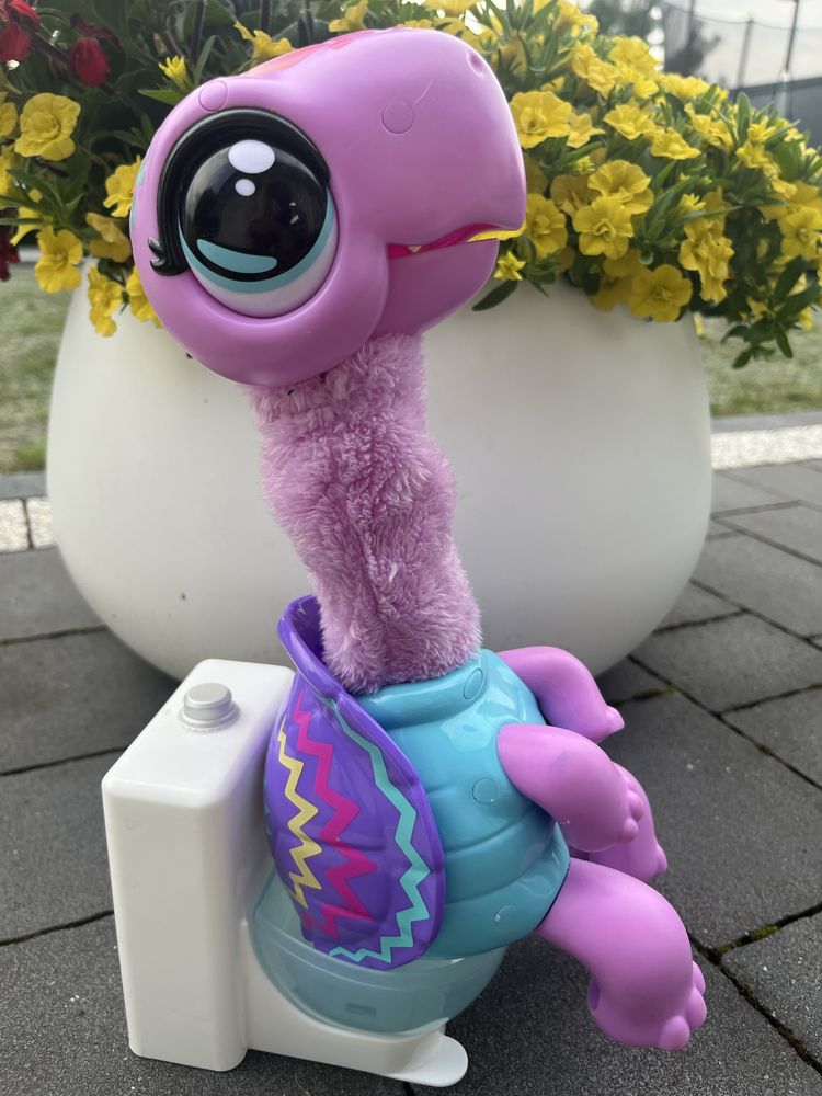 Żółw Cobi Little Live Pets