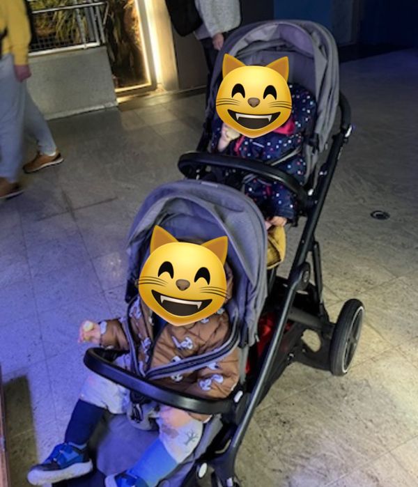 Cybex gazelle S bliźniaczy