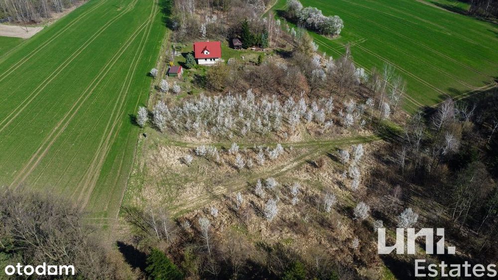Urocza działka przy lesie | Budowlana | Gruszów