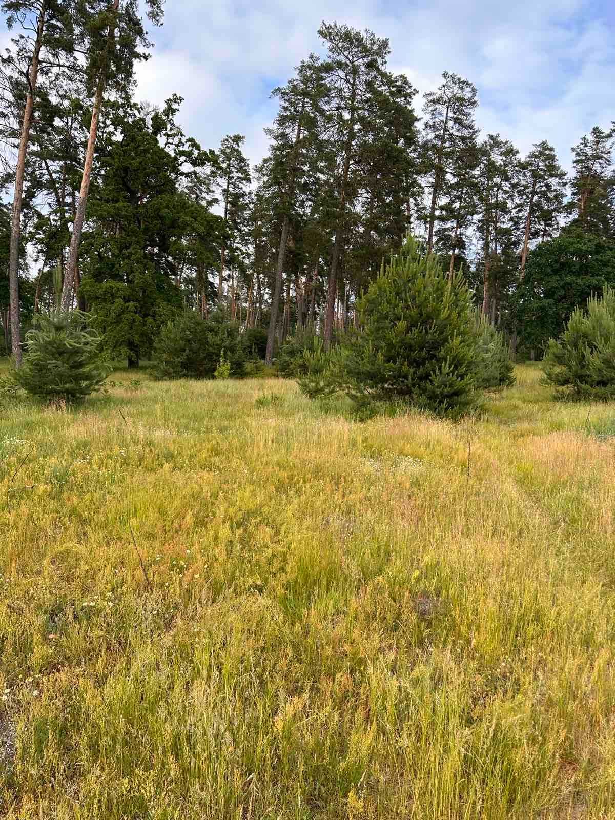 Продам ділянку в лісі с. Геронимівка р-н Стадіона