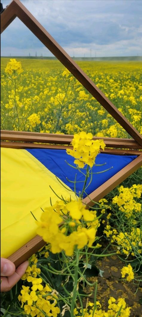 Прапор України у дерев'яній коробці подарунок