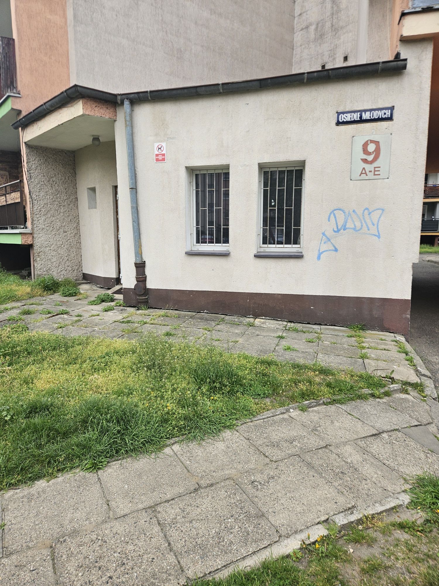 Wołczyn  Lokal 30m2