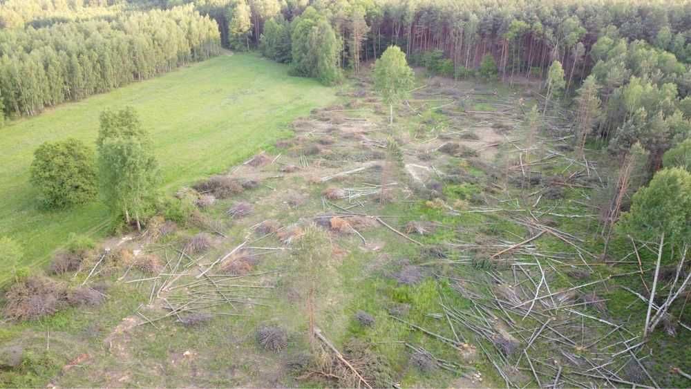 Wynajem rębaka z operatorem, rębak do gałęzi, wycinki, mulczowanie