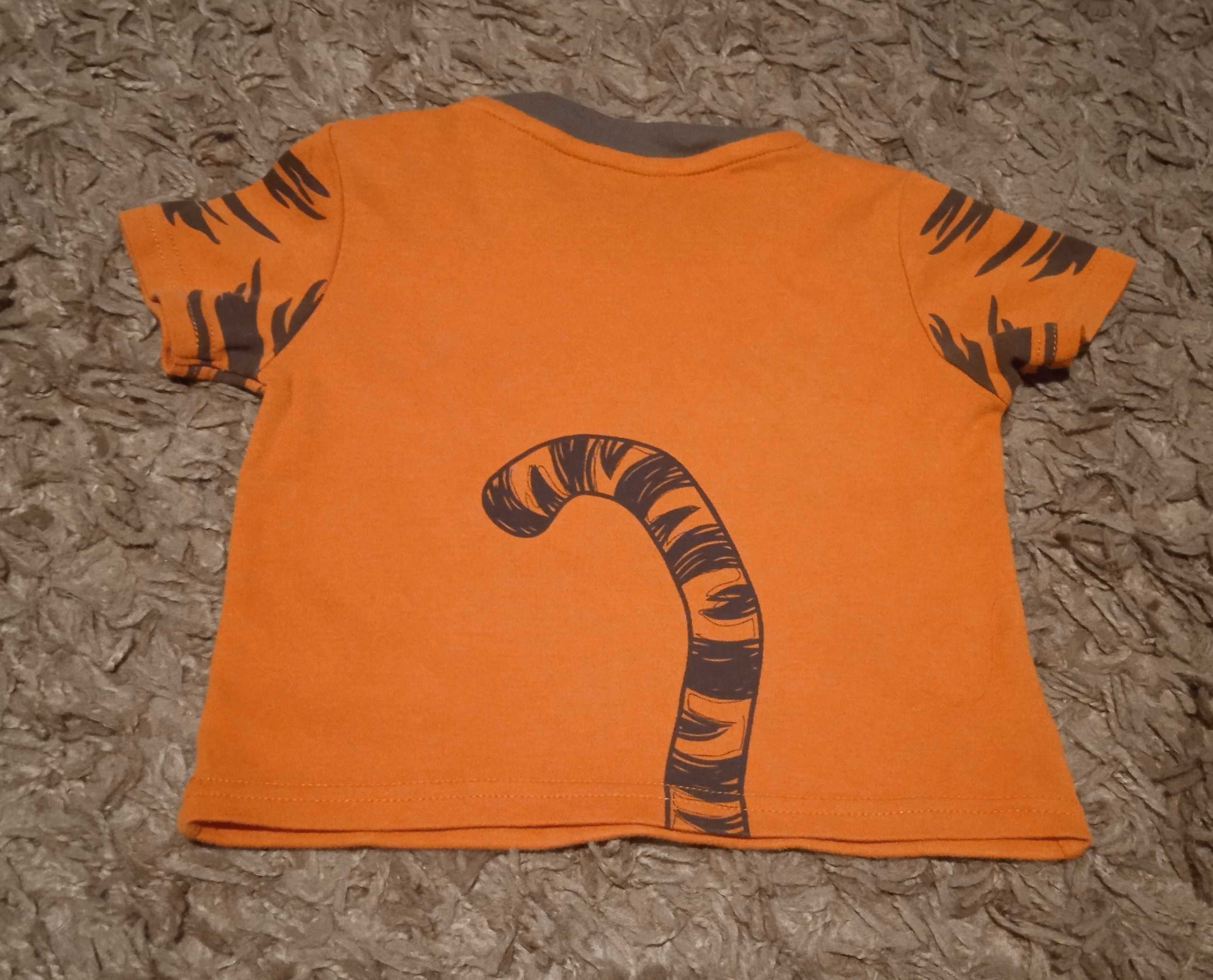 Pomarańczowa koszulka na maluszka na chłopca z tygryskiem